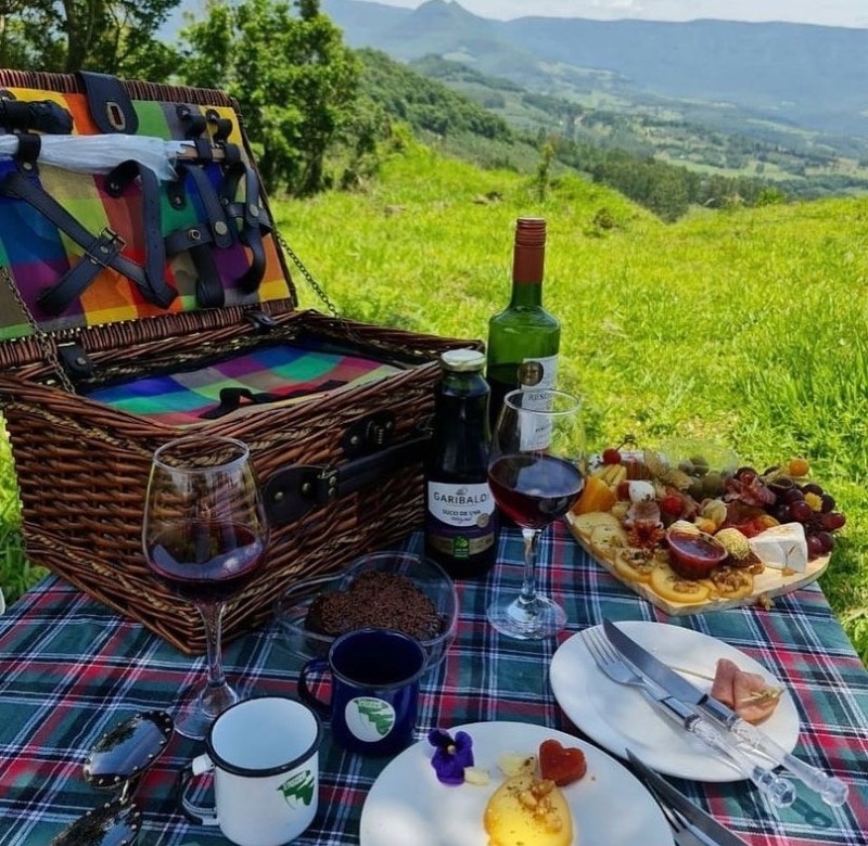 Picnic